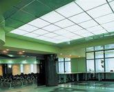 Translucent Ceiling Tiles - Denver Colorado